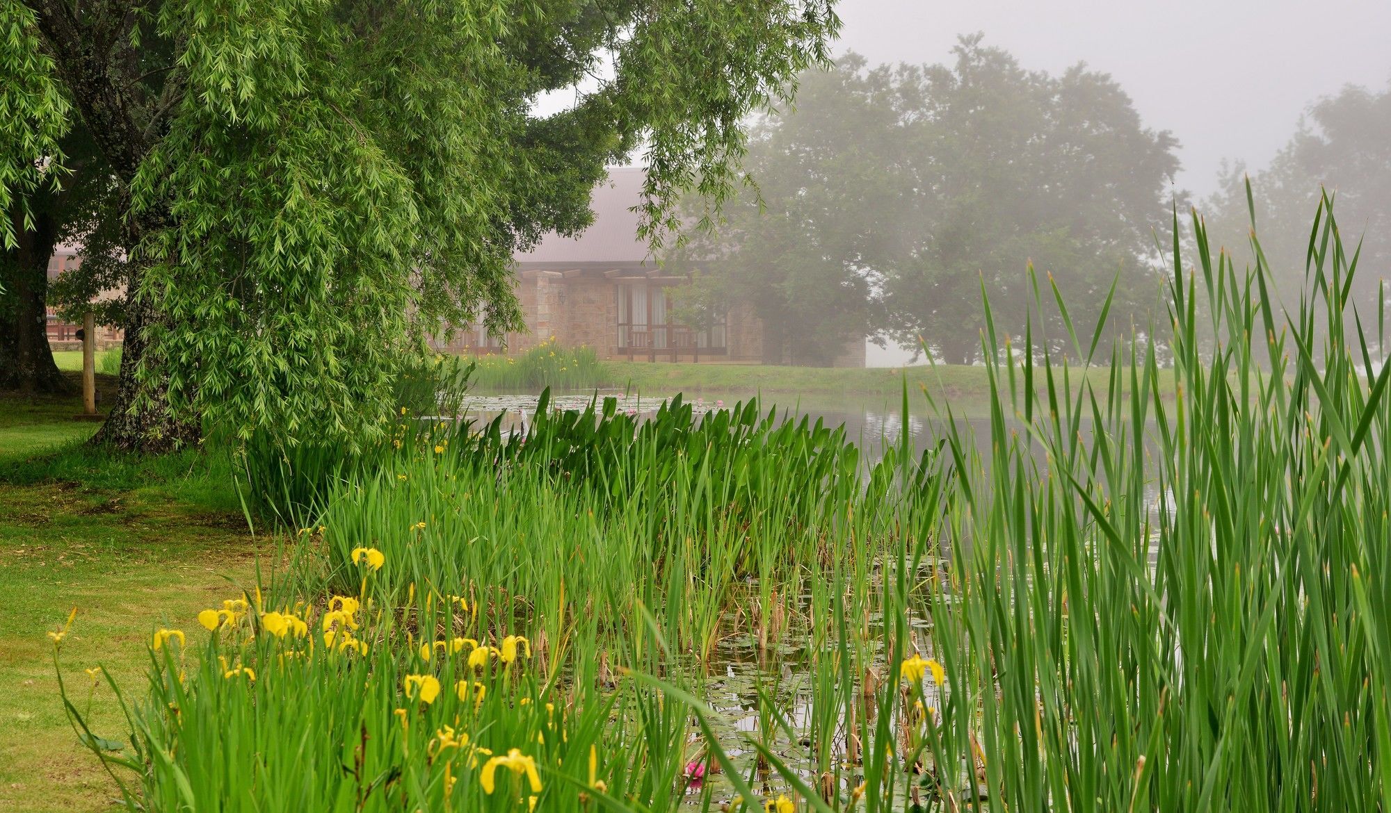 Hotel Walkersons & Dullstroom